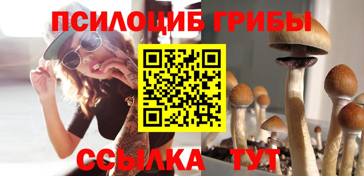 Псилоцибиновые грибы мухоморы Топки